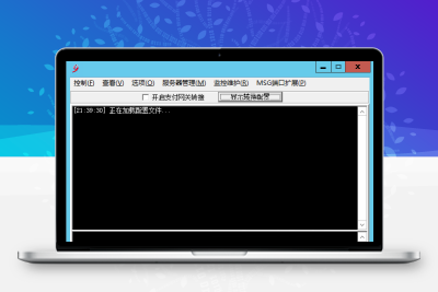 1655 配置赠送金额后 启动ACC无法加载配置文件