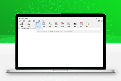 navicat for MySQl破解版