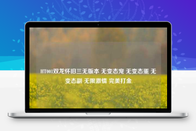 HT001双龙怀旧三无版本 无变态宠 无变态蛋 无变态副 无限激情 完美打金