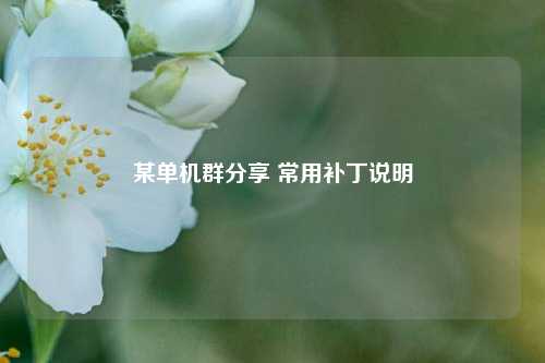 某单机群分享 常用补丁说明