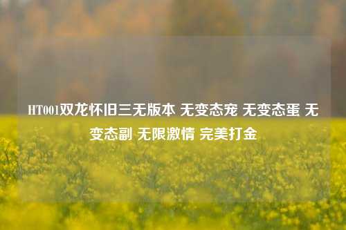 HT001双龙怀旧三无版本 无变态宠 无变态蛋 无变态副 无限激情 完美打金
